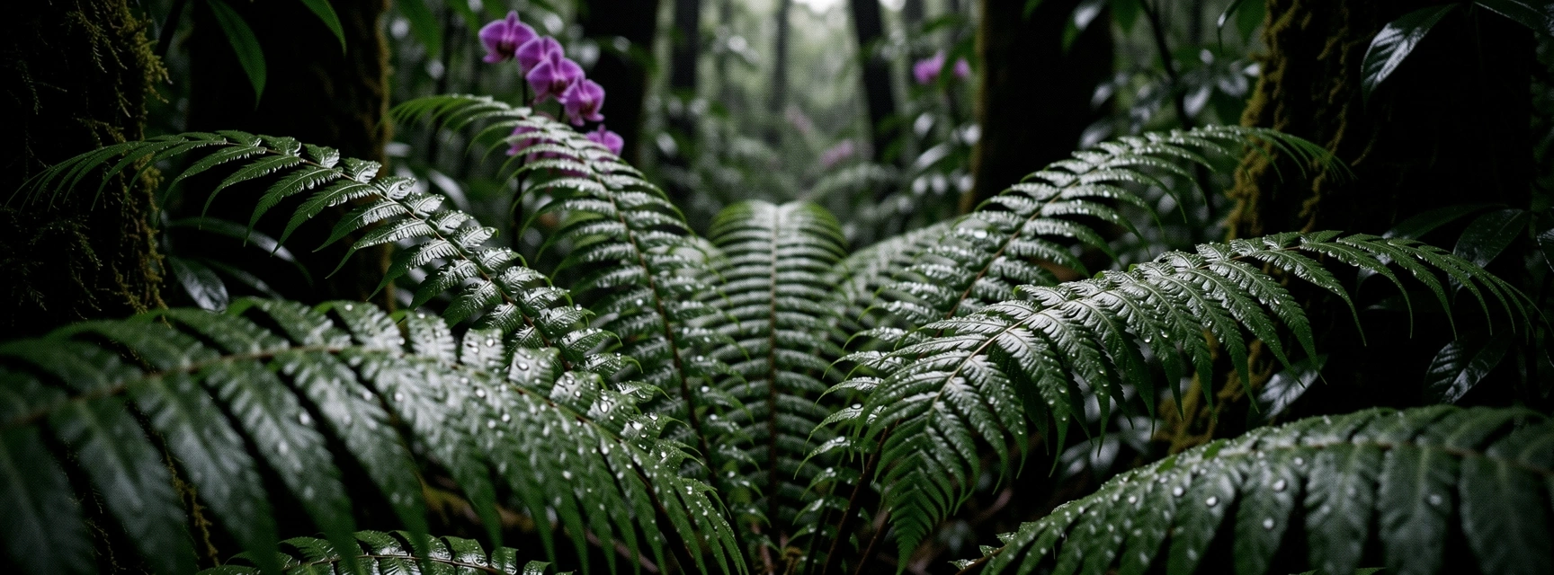 Scenic Bogor Highlands